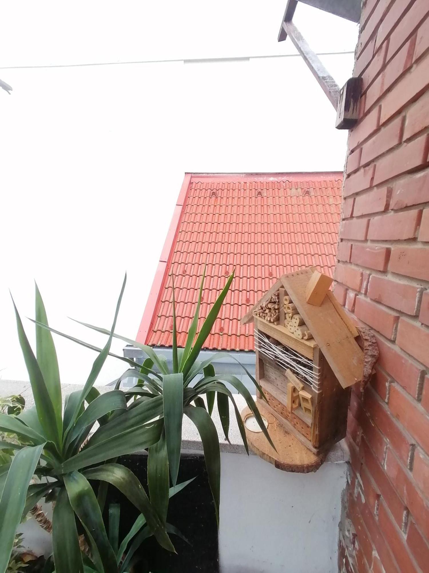 Ujkapu Sunshine Apartments Győr Rom bilde